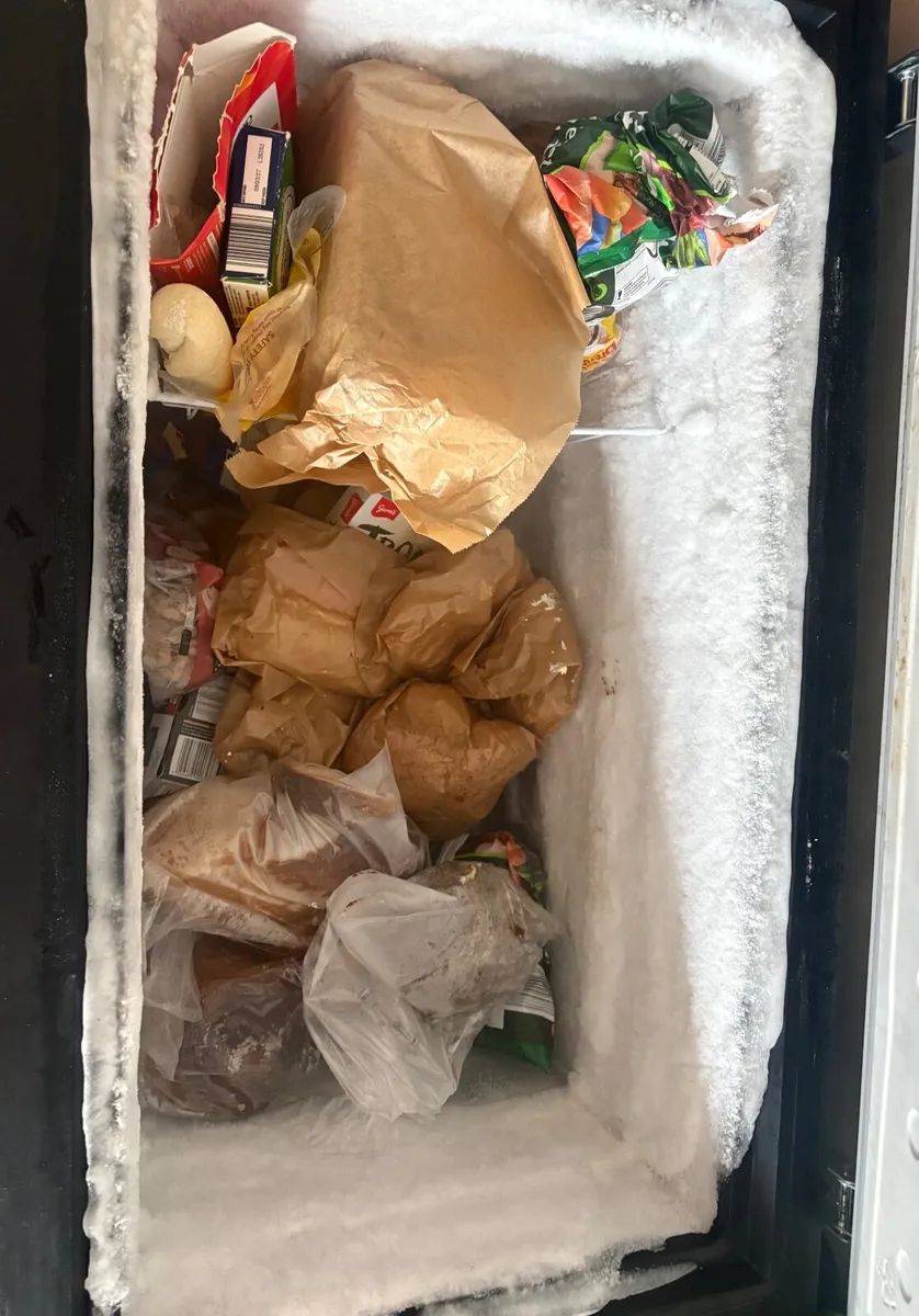 Chest Freezer - Image 2