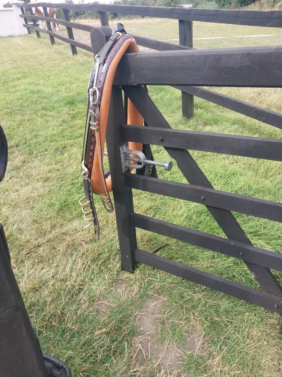 NEW SET OF TRADE HARNESS - Image 2