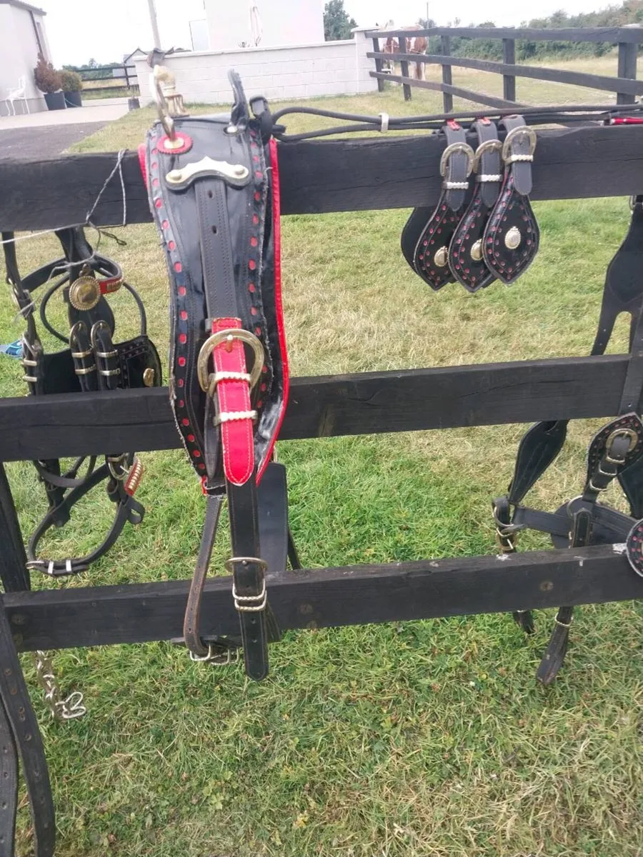 NEW SET OF TRADE HARNESS - Image 3