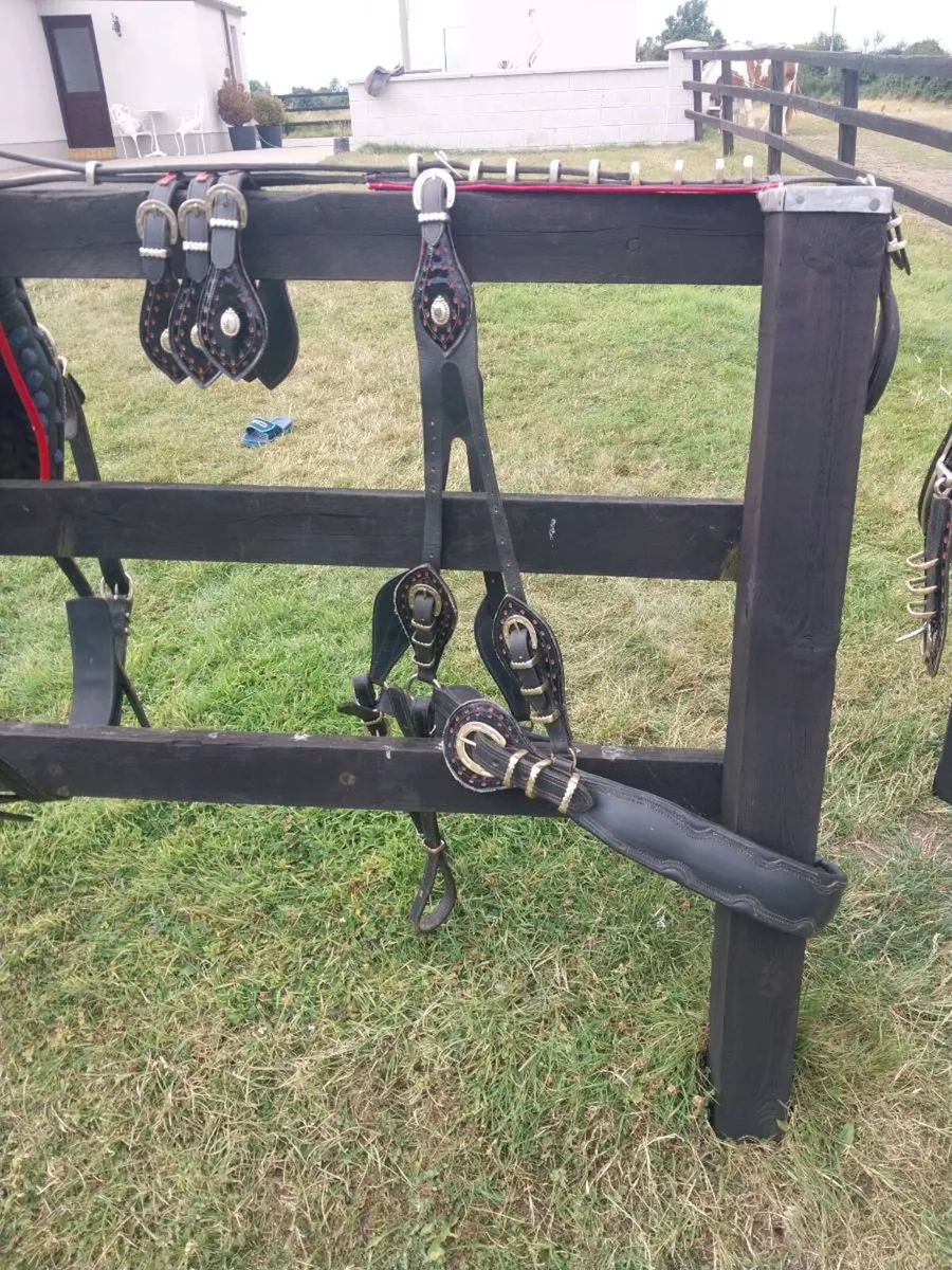 NEW SET OF TRADE HARNESS - Image 4