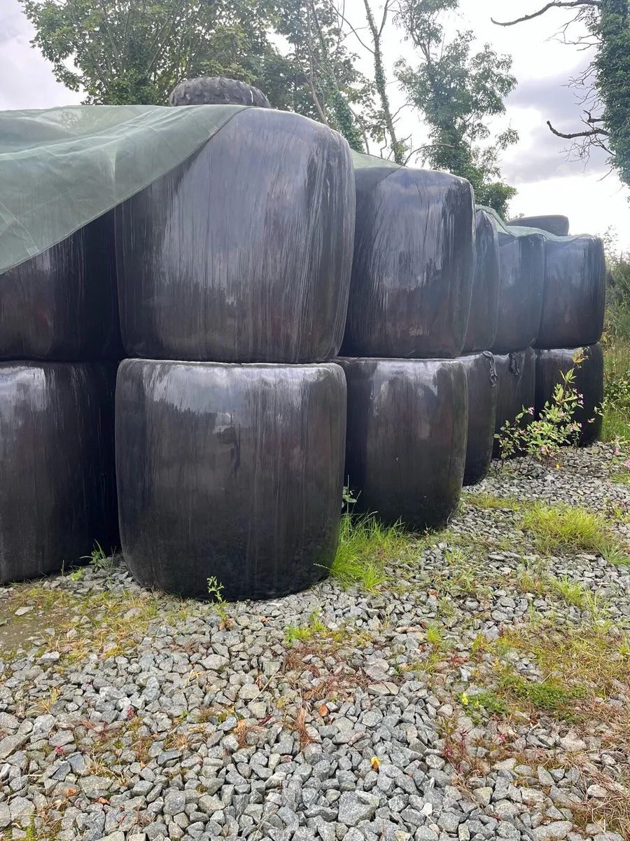 Haylage Round and Square - Image 3