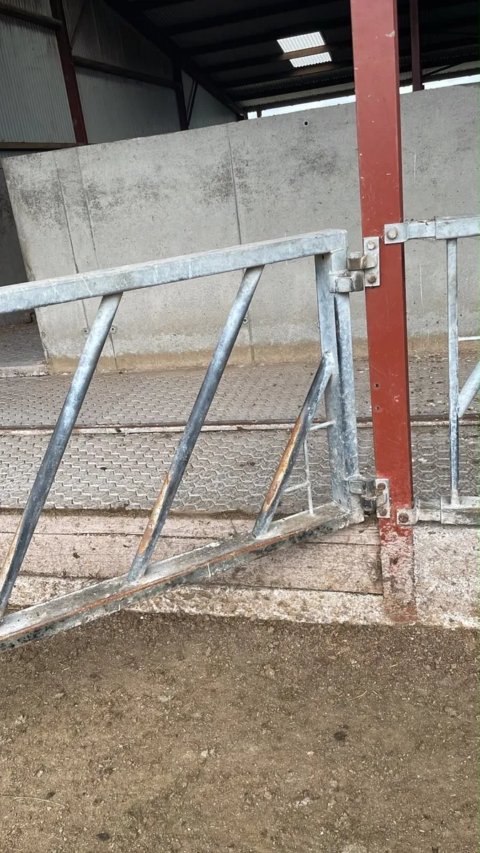 Beef Shed Equipment