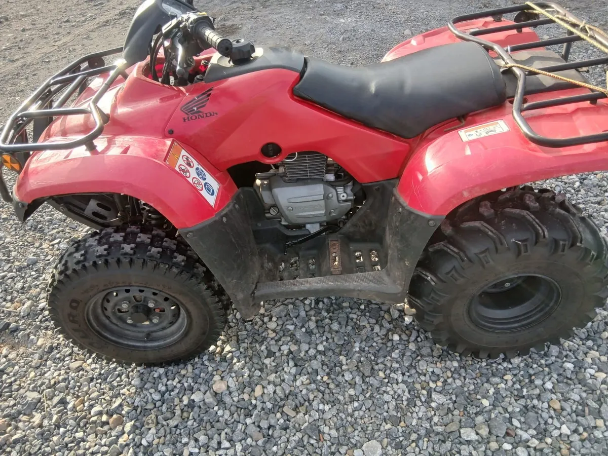 Quad Bike - Image 4