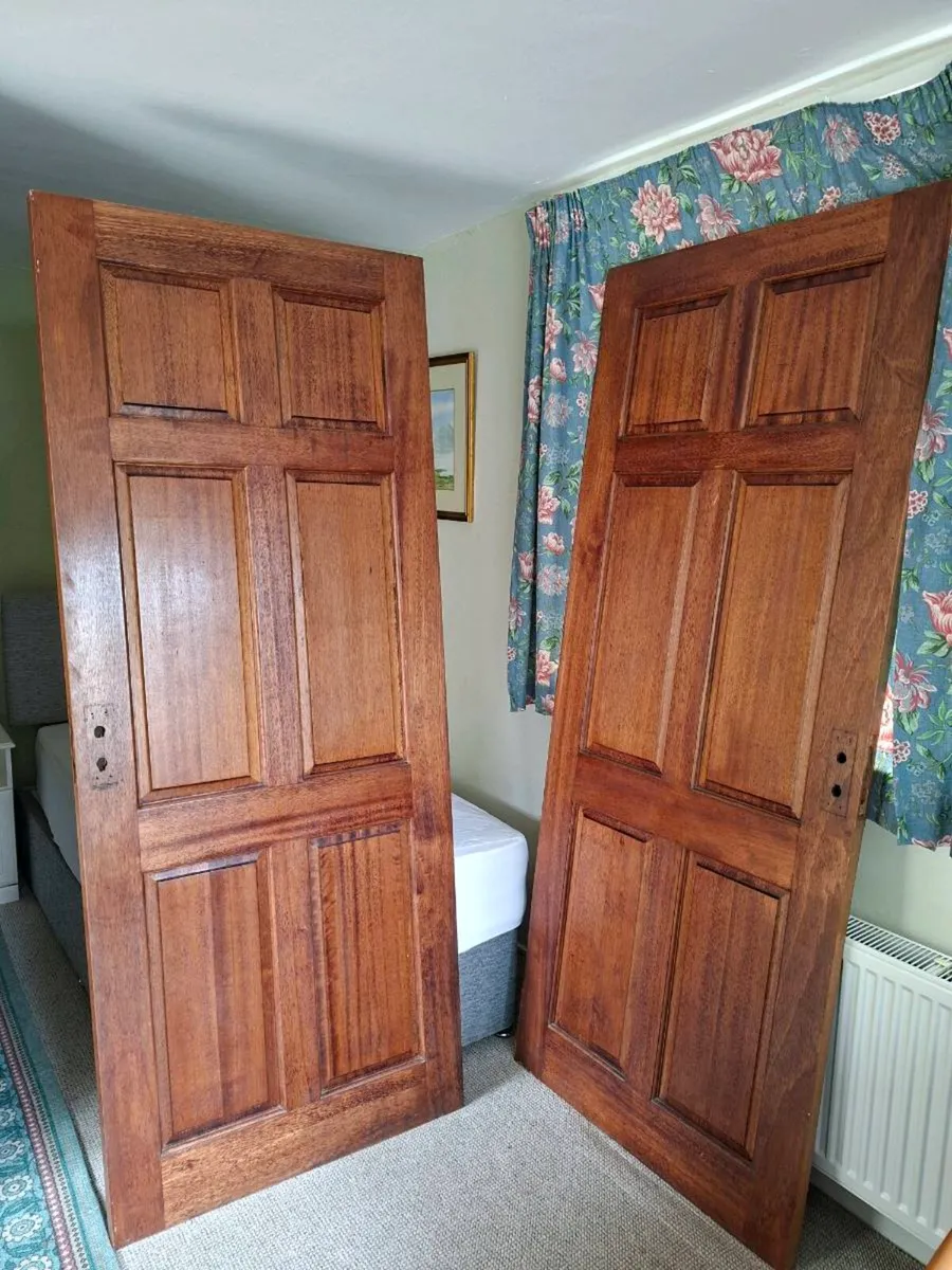 Mahogany doors - Image 1