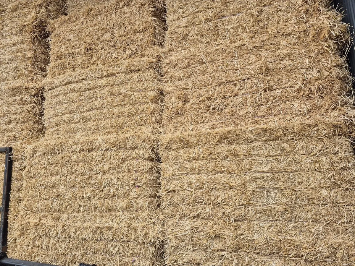 Wheat & Barley Straw For Sale - Image 1