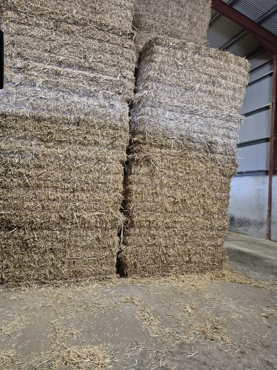 Wheat & Barley Straw For Sale - Image 2