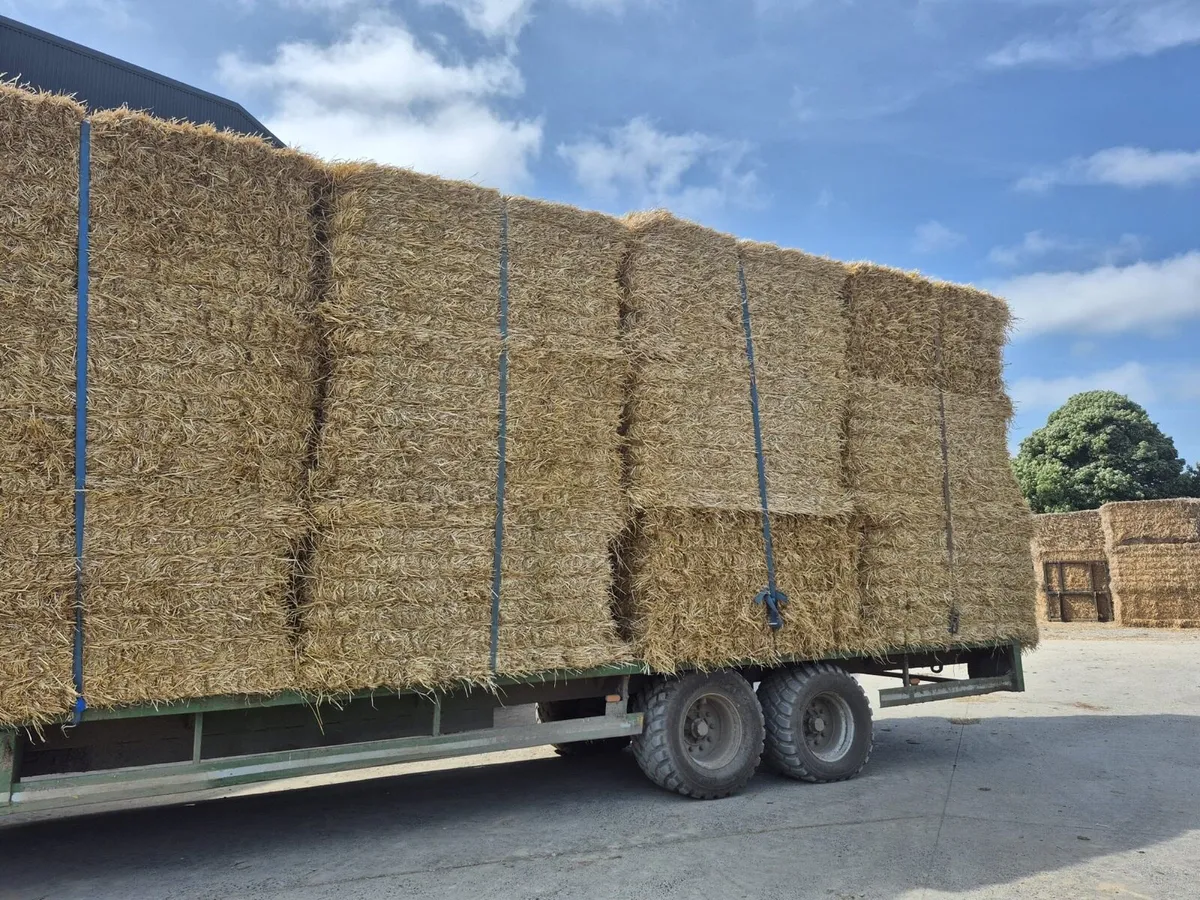 Wheat & Barley Straw For Sale - Image 3