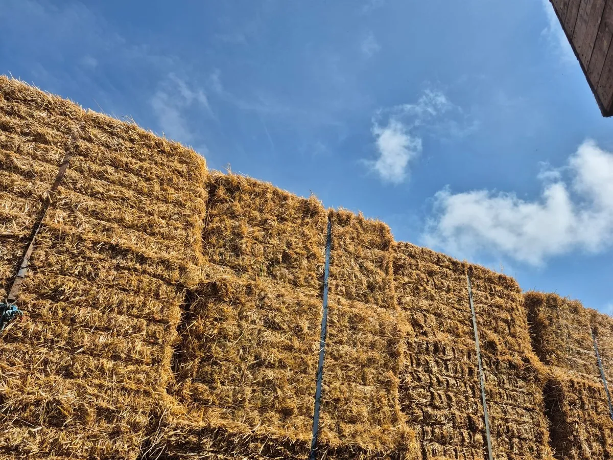 Wheat & Barley Straw For Sale - Image 4