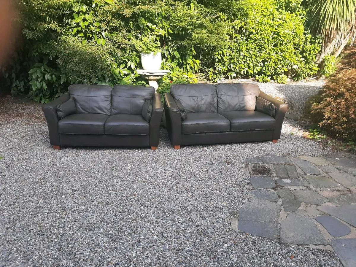2 and 3 seater leather couch