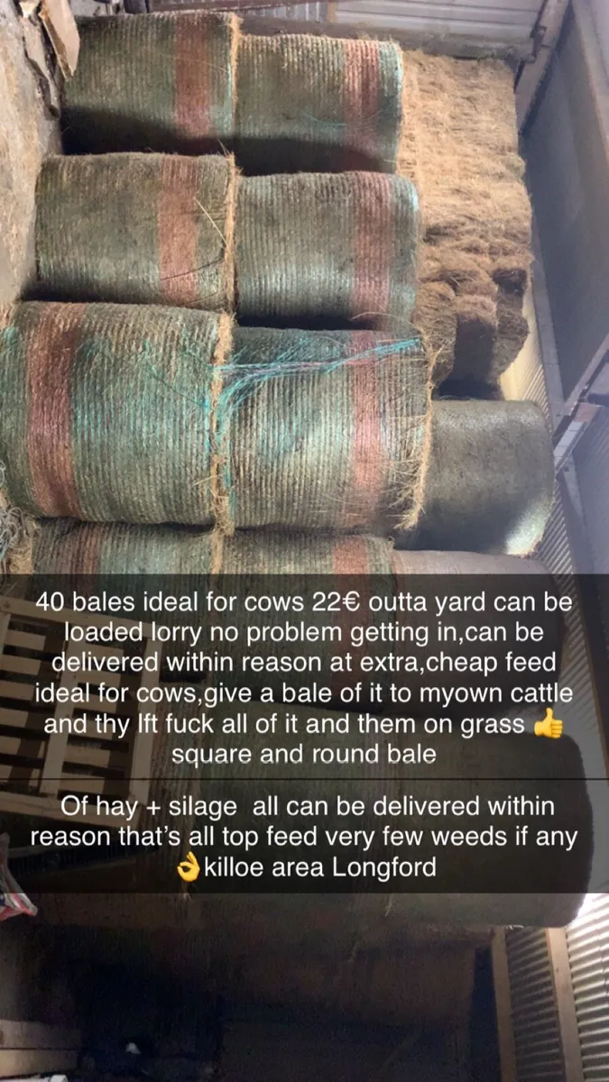 Top quality hay squares and round - Image 1