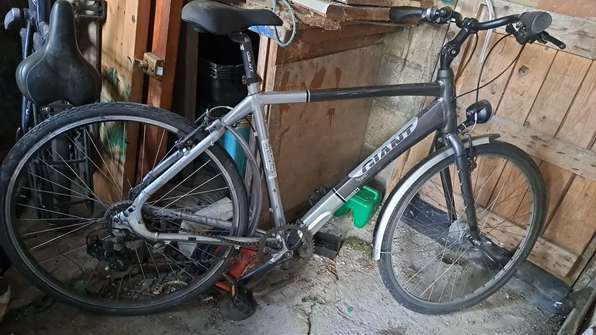 Bike - Image 1