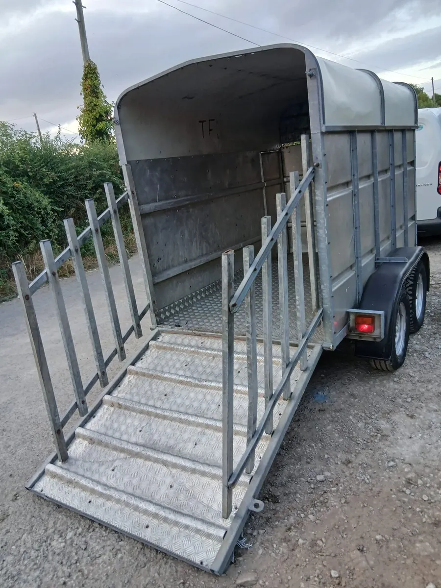 Trailer for sale - Image 3