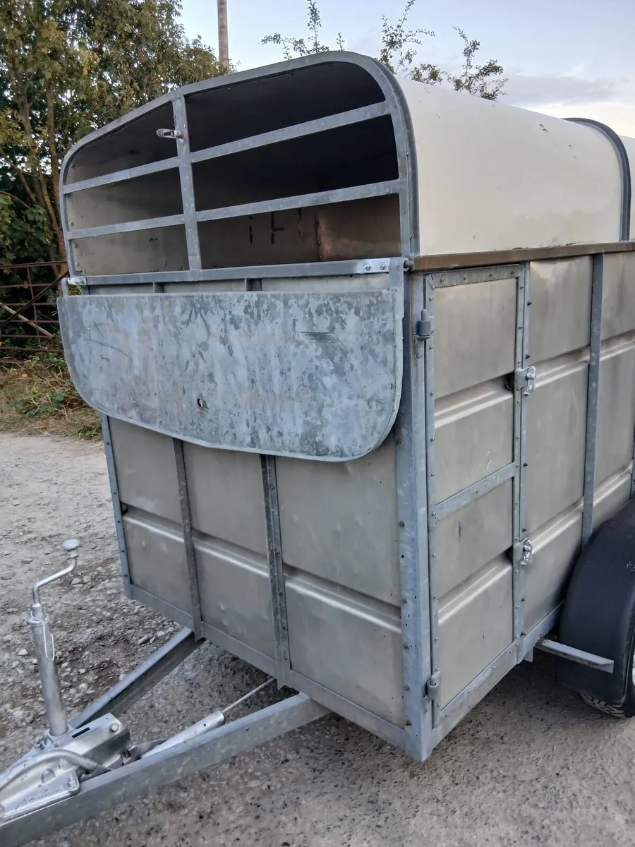 Trailer for sale - Image 4