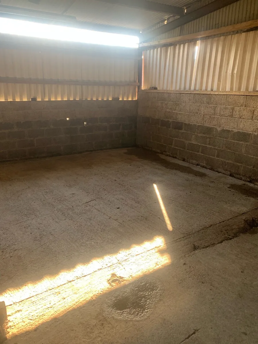 Storage - Image 4