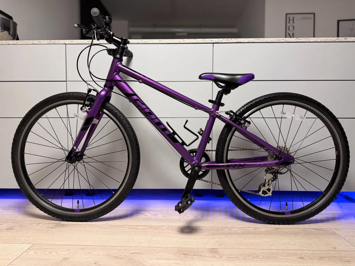 Giant ARX Junior Bike 24 inch (Like New) - Image 2
