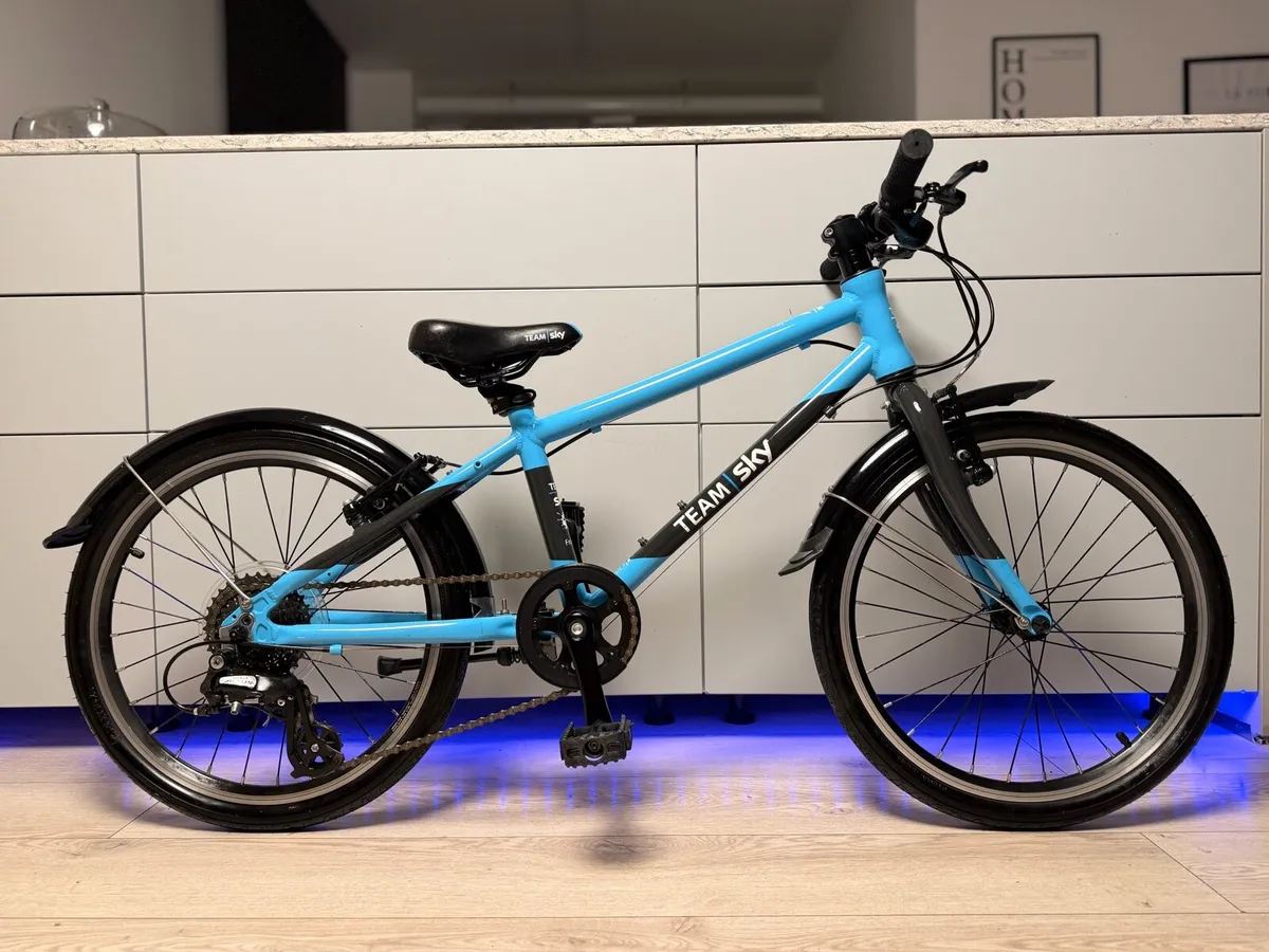 FROG 55 Kids Bike 20 inch - Image 1