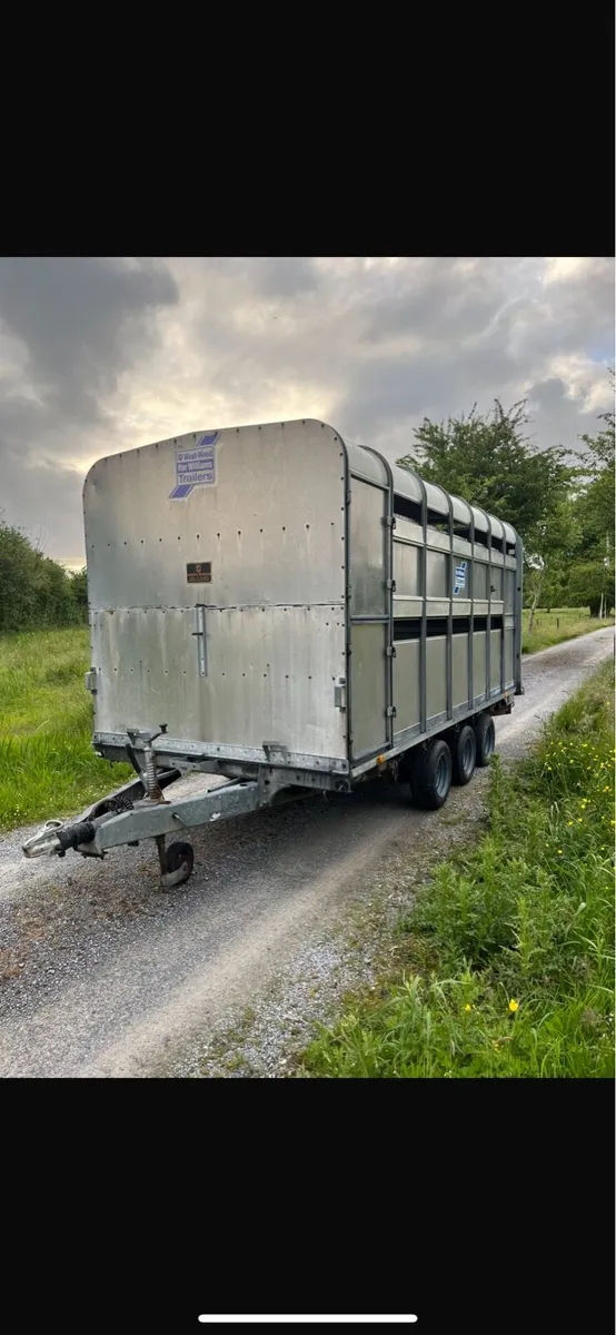 Iforwilliams cattle trailer - Image 1
