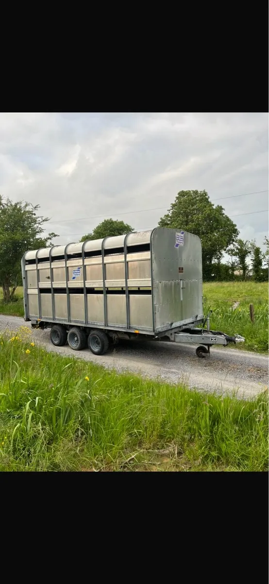 Iforwilliams cattle trailer - Image 2