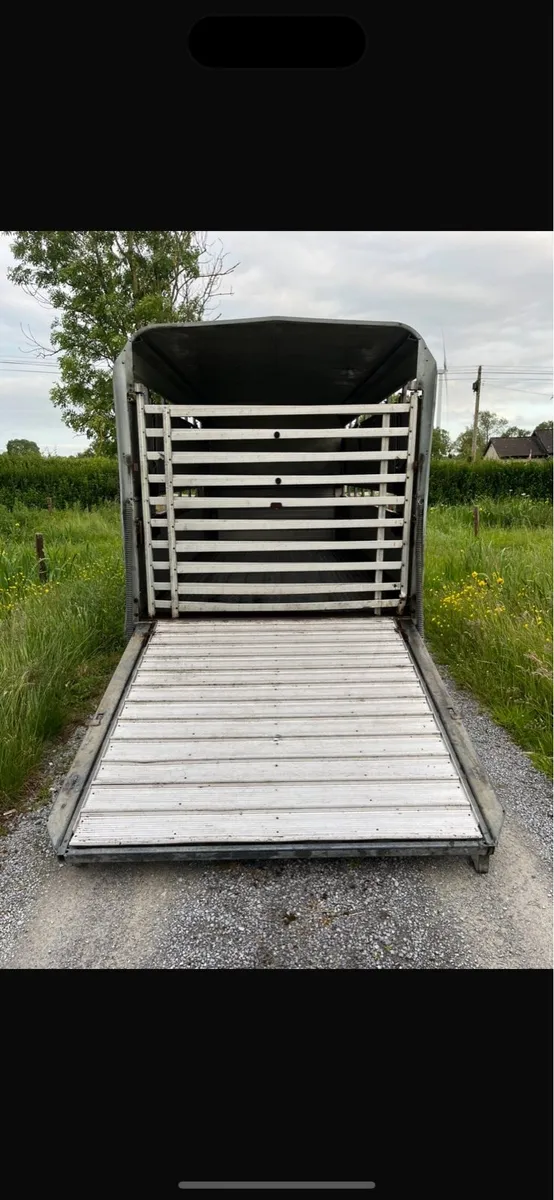 Iforwilliams cattle trailer - Image 3