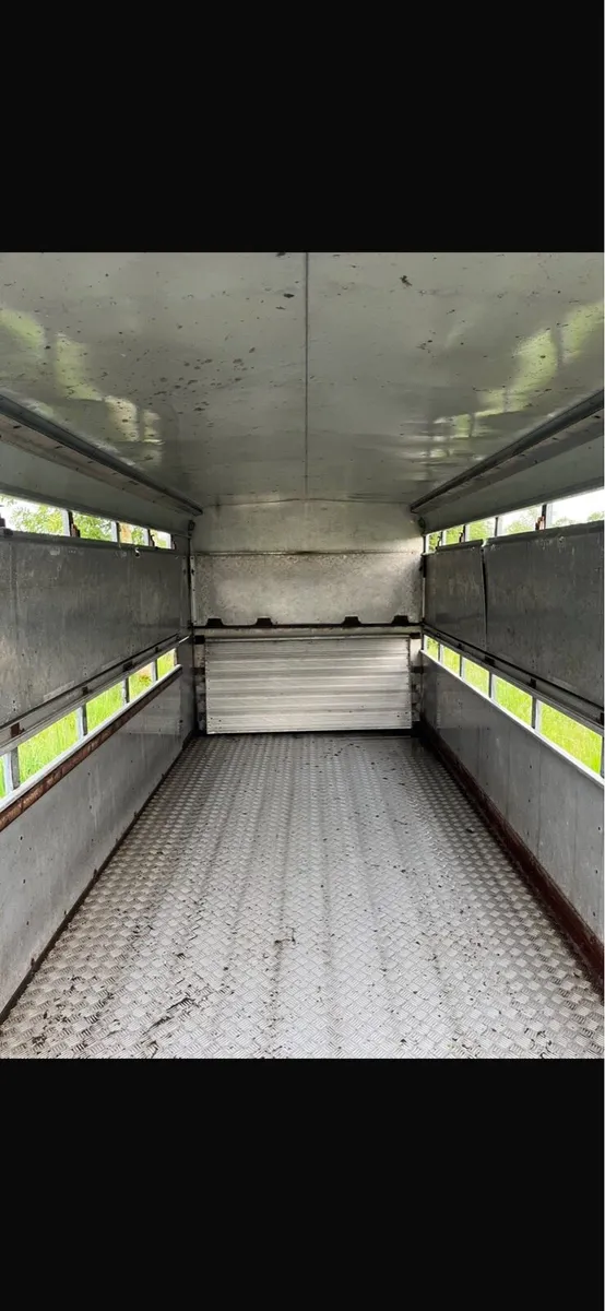 Iforwilliams cattle trailer - Image 4