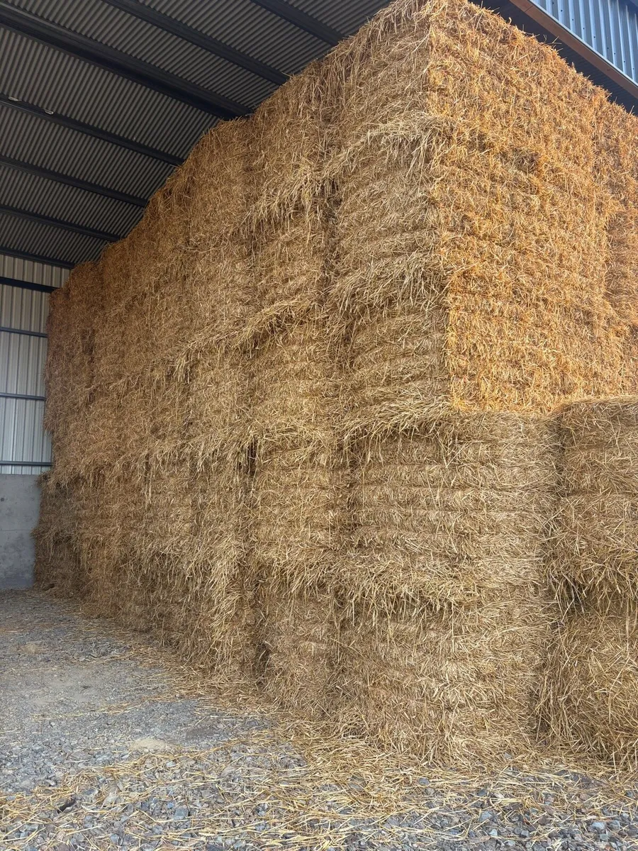 Wheat straw