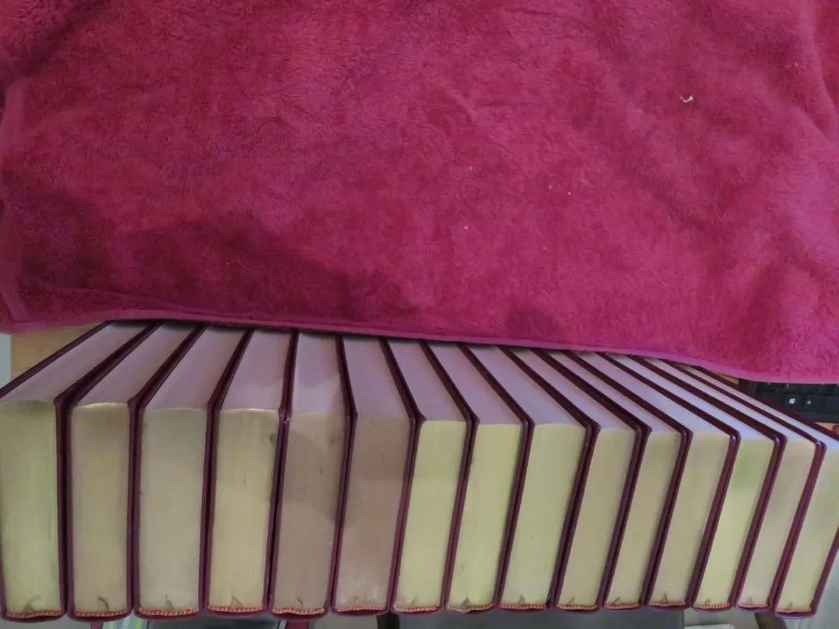 Dickens book collection . Kilkenny city . - Image 2