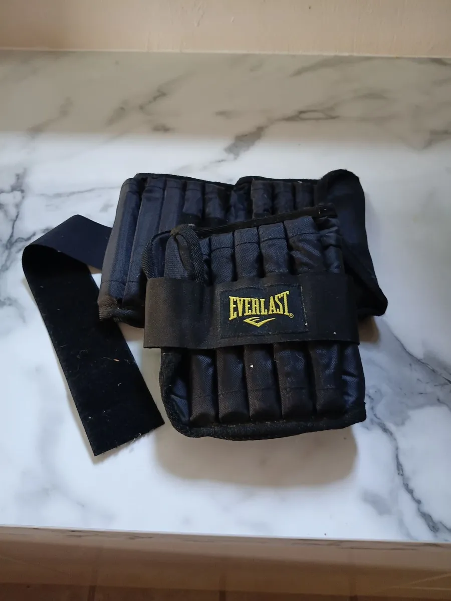 Everlast Hand and Foot Weights