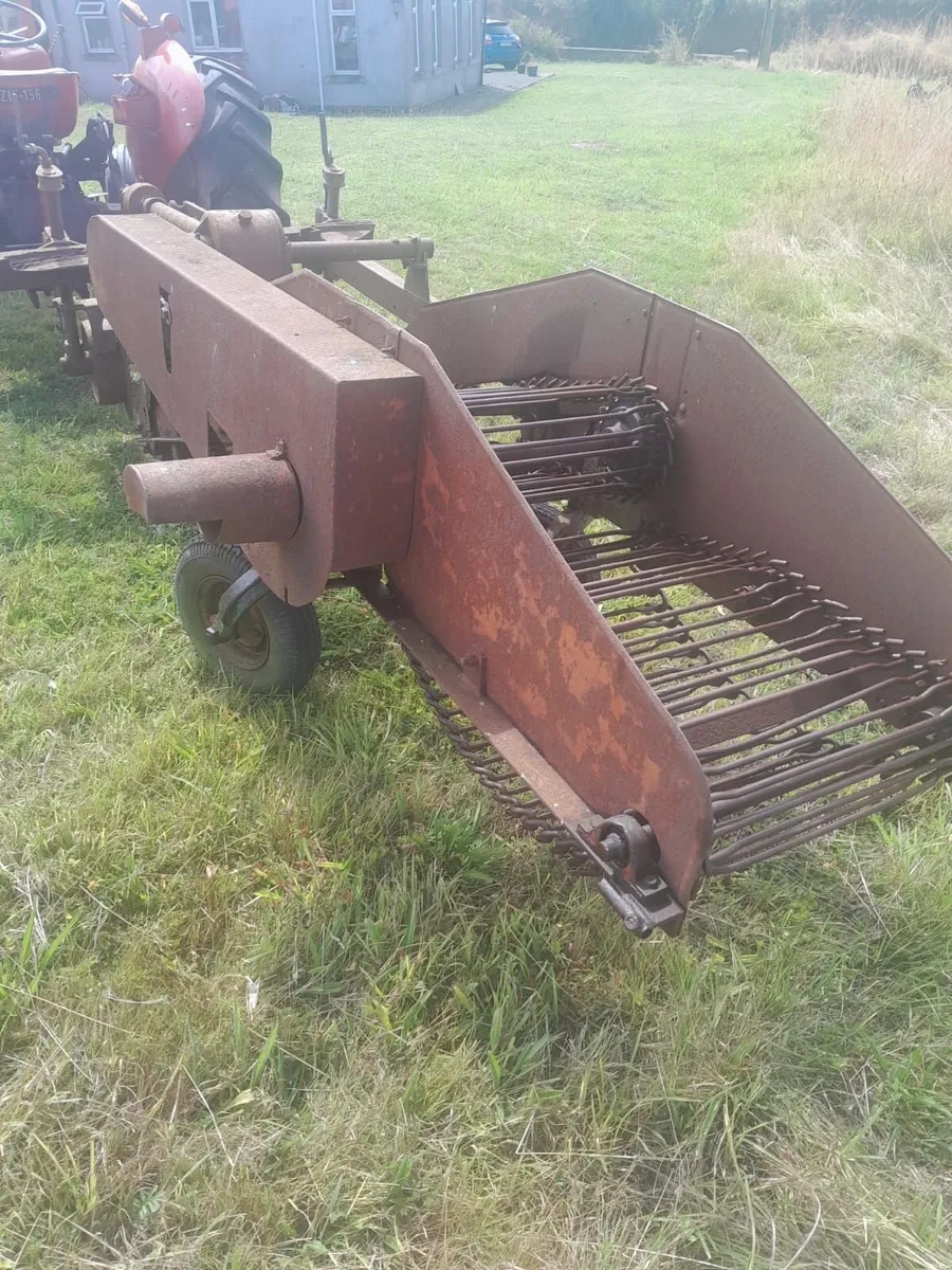 Johnston Potato Digger - Image 1