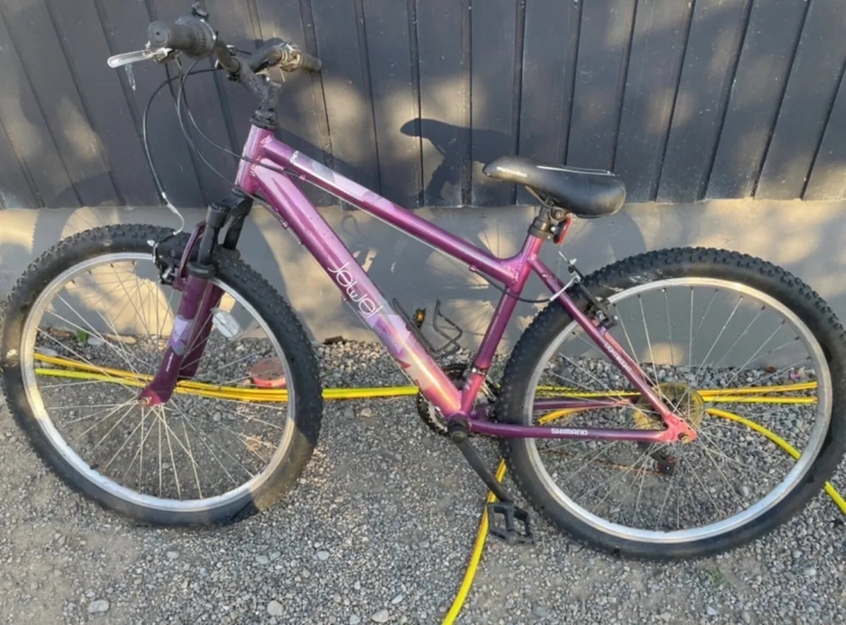 bike - Image 1