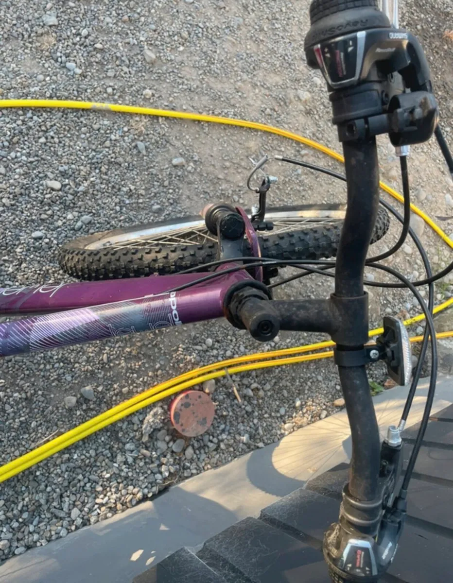 bike - Image 2