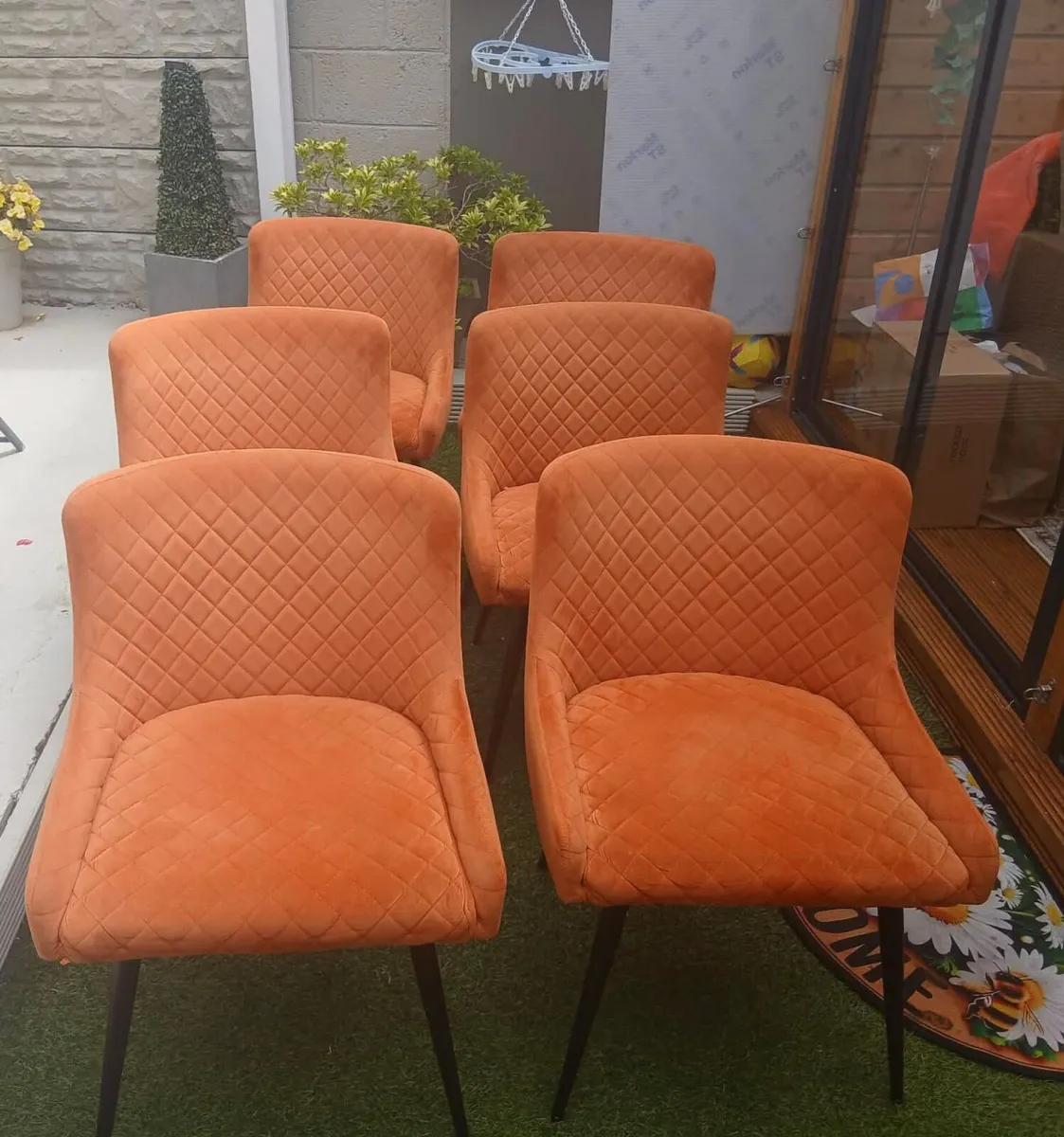 6 Dining Chairs - Image 1