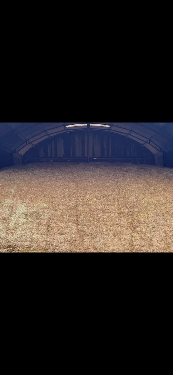 Pit of 1st Cut Silage - Image 2