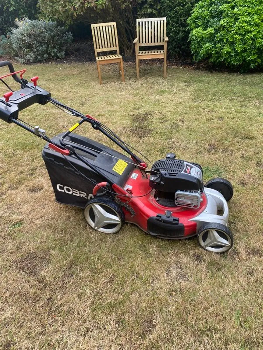 Lawnmower - Image 2