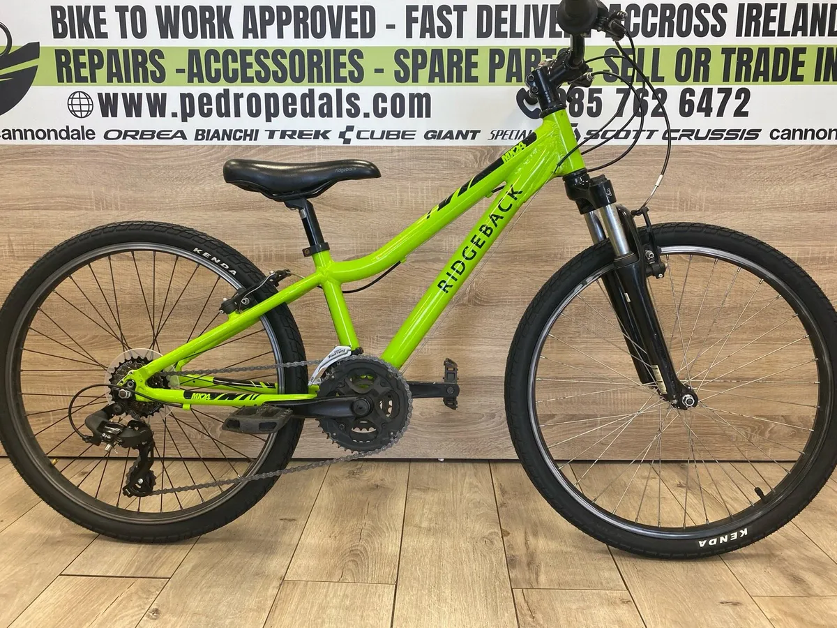 Ridgeback MX24 - Image 2