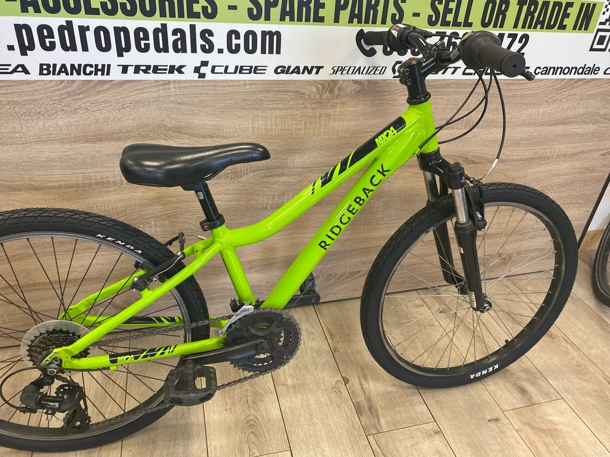 Ridgeback MX24 - Image 4
