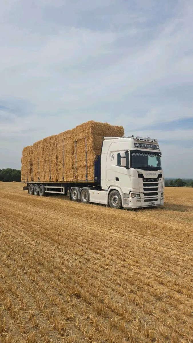 Straw , barley & weaten - Image 3
