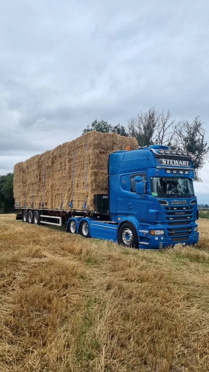 Straw , barley & weaten - Image 1