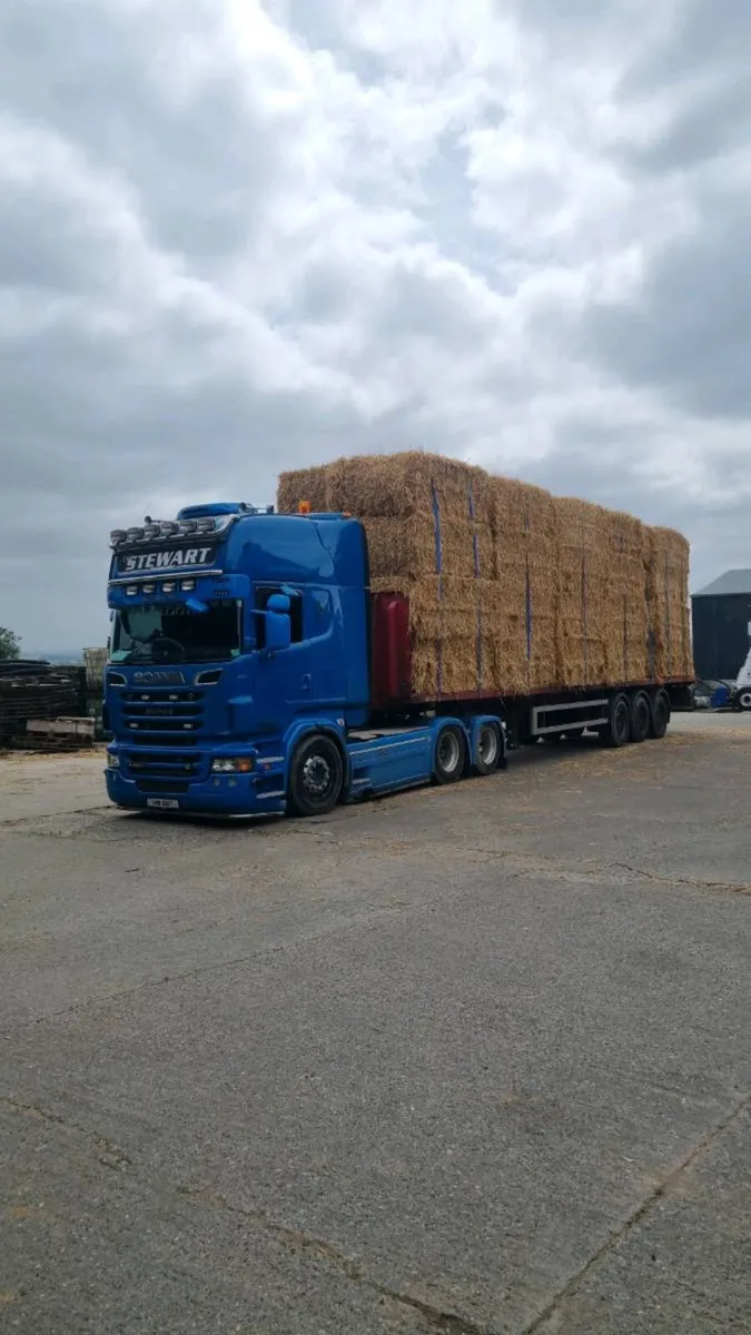 Straw , barley & weaten - Image 4
