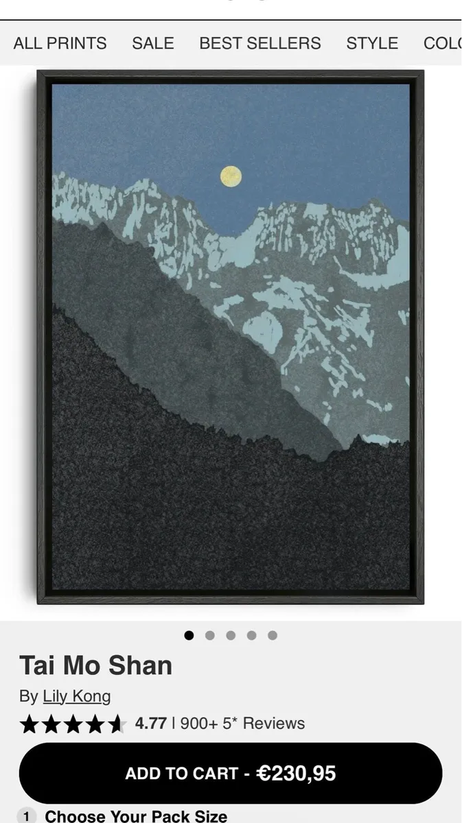 Framed Canvas Artwork A1 23.4 x 33.1” - Image 3
