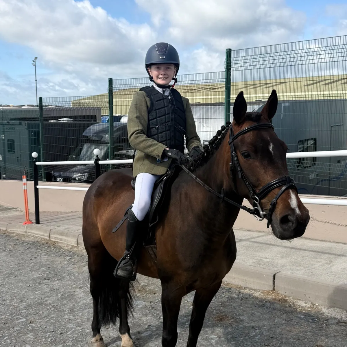 138 show jumper - Image 3