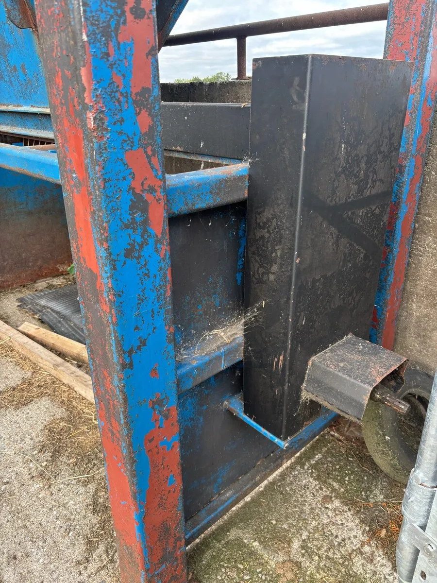 Beet chopper - Image 2