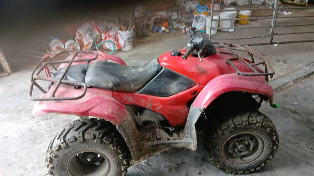 Quad - Image 2