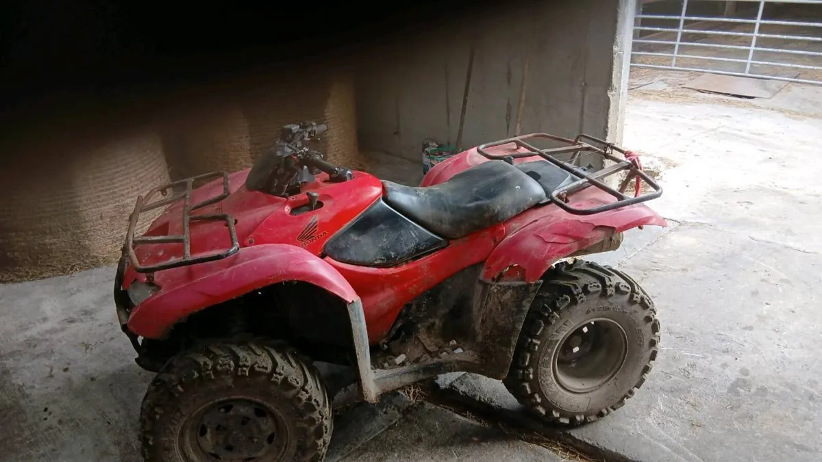 Quad - Image 4