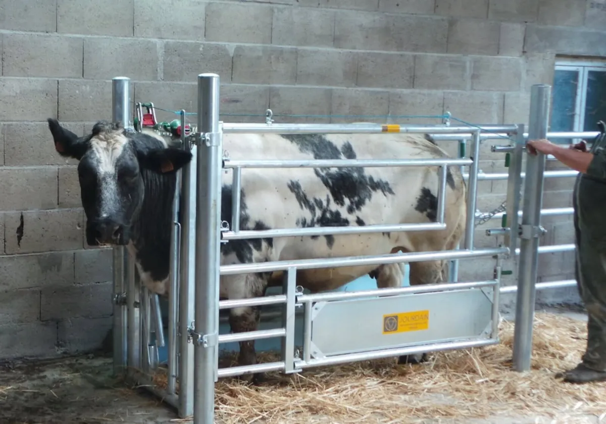 Jourdain 3-in-1 Calving Gate - Image 1