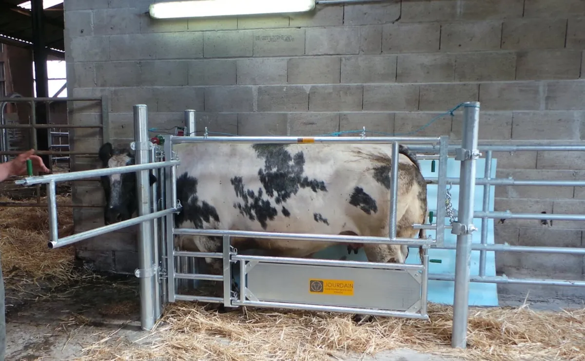 Jourdain 3-in-1 Calving Gate - Image 2