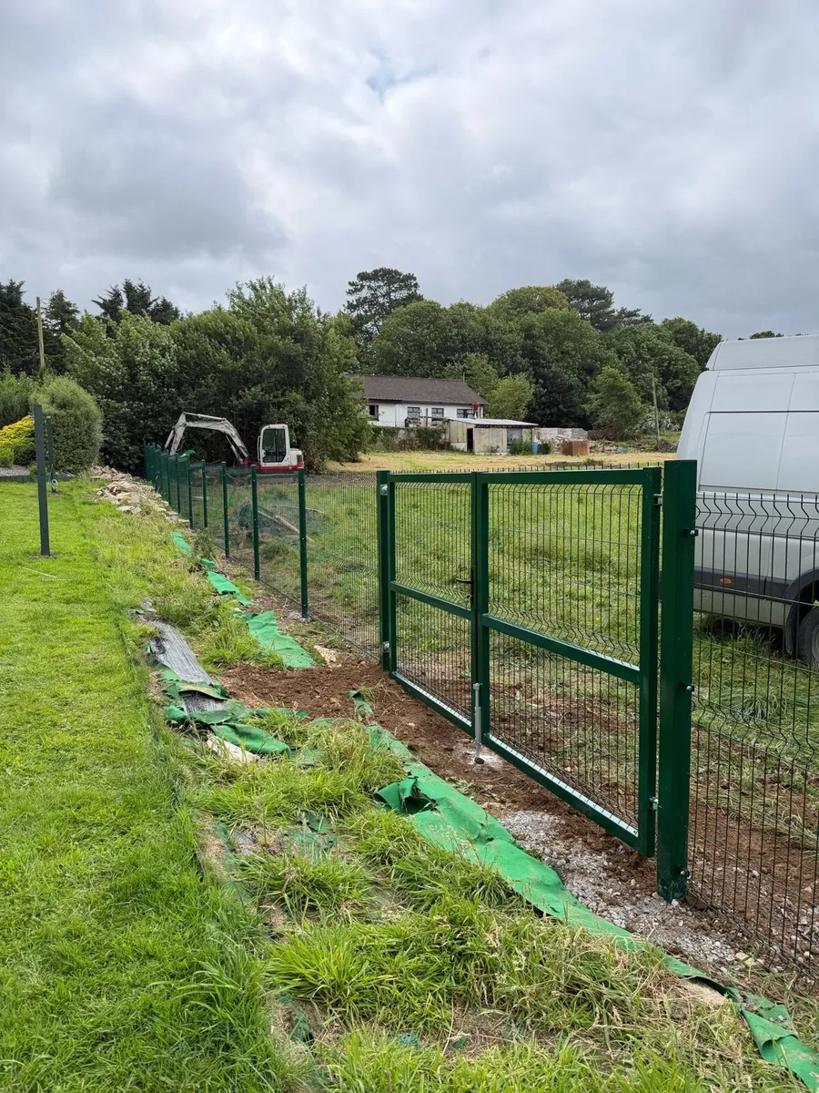Mesh 3d fence. Gate - Image 1