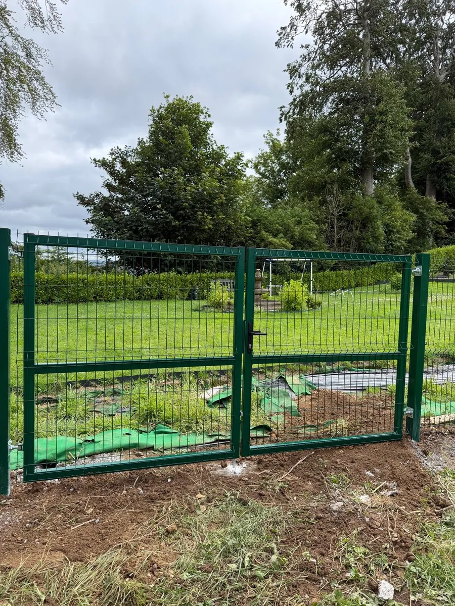 Mesh 3d fence. Gate - Image 2