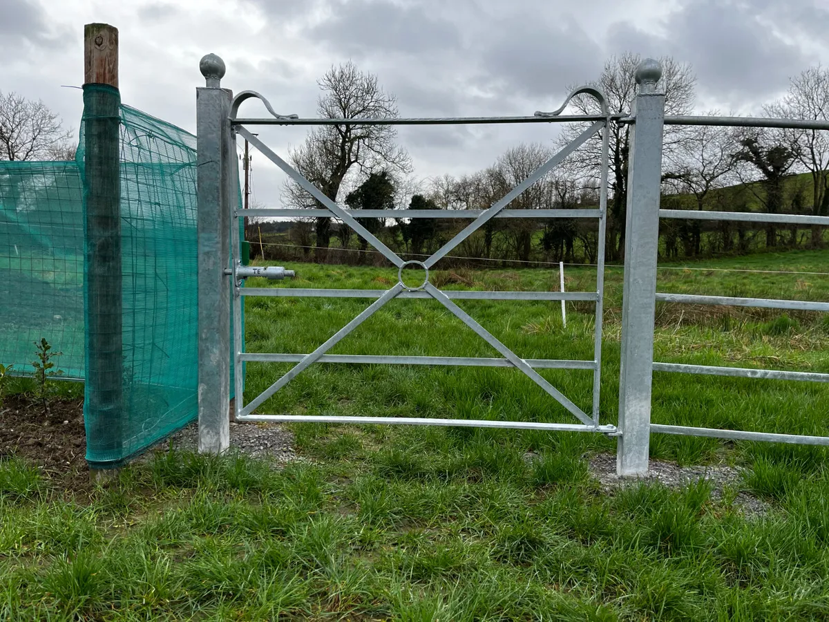 Pedestrian Gates - Image 4