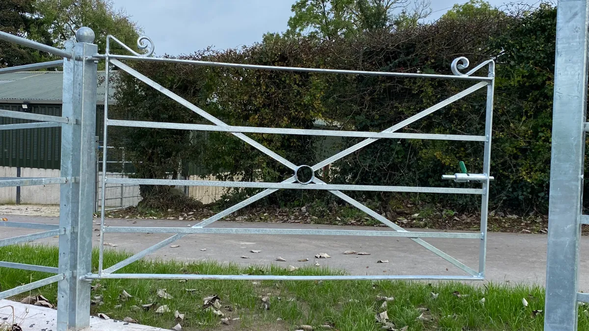 Pedestrian Gates - Image 2