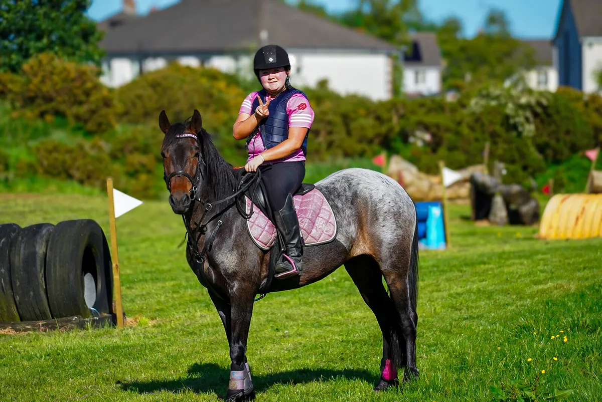 4yr Connemara Mare - Image 1